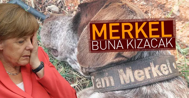 Merkel kızacak
