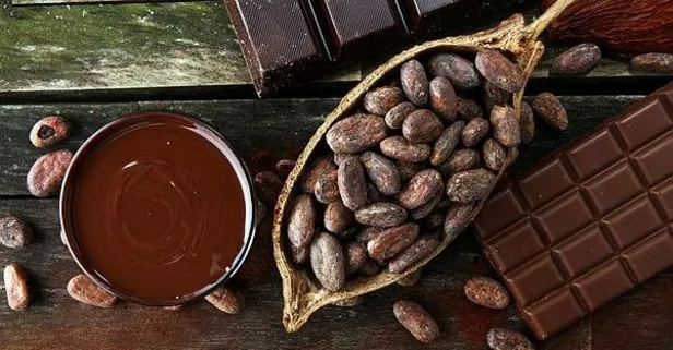 Ağız yarasına kakao yağı