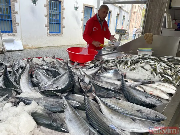 Denizden palamut fışkırdı! Tanesi 20 liraya düştü! Vatandaşın ve esnafın yüzü gülüyor - 7