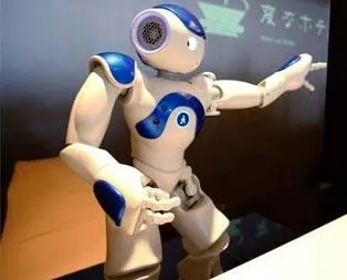Japonlar işi abarttı