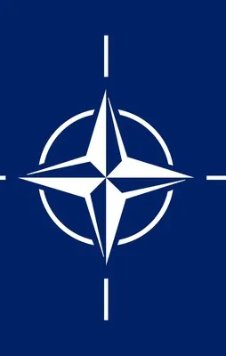 NATO’daki her iki subaydan biri FETÖ'cü