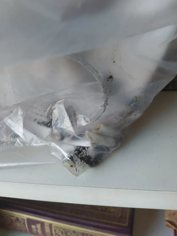 Camide alçak provokasyon: Elinde içki şişesiyle girdi sigara içti Kur'an-ı Kerim’e tekme attı! Şüpheli gözaltına alındı-3