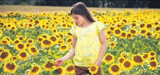 İşte bitkilerin şifa gücü