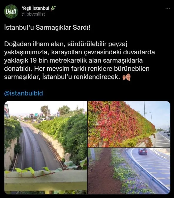 CHP'li İBB Sözcüsü Murat Ongun'un paylaştığı sarmaşık görsellerinin 2015’ten önce yapıldığı ortaya çıktı-3