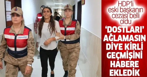 Son dakika: HDP’li eski Kocaköy Belediye Başkanı Rojda Nazlier’e silahlı terör örgütüne üye olmak suçundan 9 yıl hapis