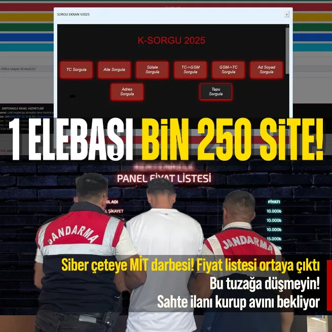 MİTten siber dolandırıcılık şebekesine operasyon! Elebaşı tutuklandı bin 250 internet sitesi kapatıldı