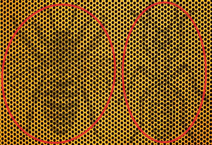 ilk-gordugun-hayvan-buysa-hafiza-gucun-muhtesem-derecede-cikiyor-1711095371553.jpg İlk gördüğün hayvan buysa hafıza seviyen muhteşem derecede çıkıyor-5