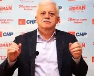 CHP’den doğa katliamı: Zeytinlik AVM olacak!