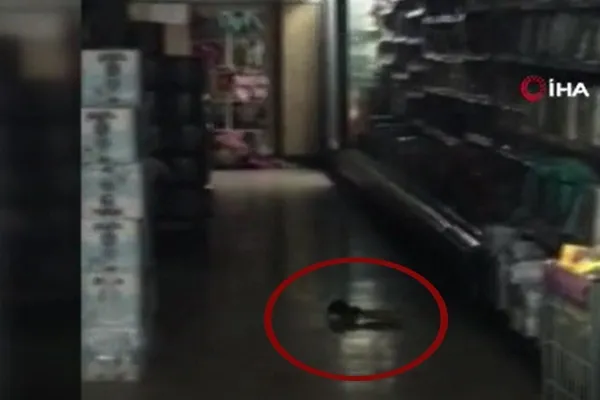 Sosyal medyada infial yaratan görüntüler! Edirne'de fırında yere dökülen unları kürekle toplayıp lavaş yaptı!-6