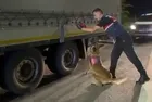 Ambarlı Limanı’nda 3 tonluk uyuşturucu operasyonu! Asya’dan İstanbul’a uzanan zehir hattı çökertildi