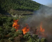 MHP’li Vahapoğlu’ndan orman yangınlarıyla ilgili önemli açıklama: Faili belli! PKK ve işbirlikçileri...
