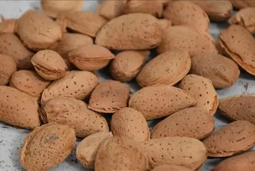 Tiroide badem etkisi