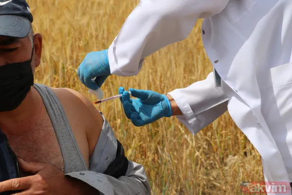 SON DAKİKA: Ankara Polatlı'da çiftçilerin Kovid-19 (koronavirüs) aşısı tarlada yapıldı - 6