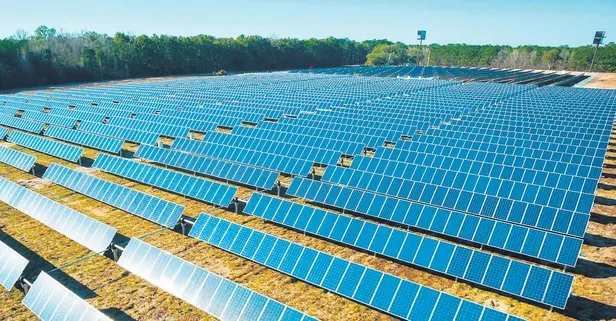 Dijital dönüşümle daha yeşil bir gelecek