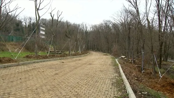 Maçka Parkı’ndan ağaç taşıma işlemi sona erdi-1