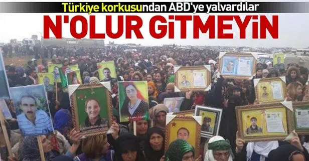 Terör örgütü PKK ABD’nin bölgeden çekilmesini protesto ediyor