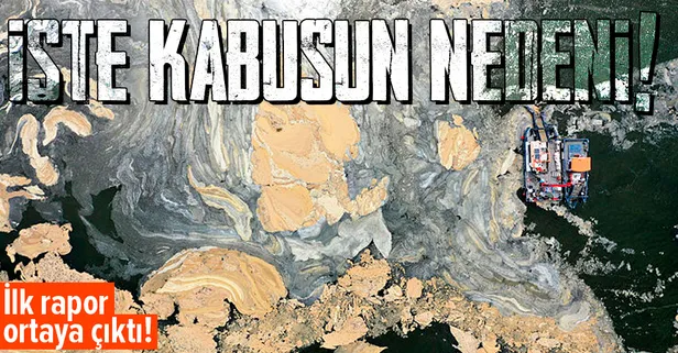 Marmara istila altında! Deniz salyasının (müsilaj) ilk raporu ortaya çıktı! Korkunç sonuç!