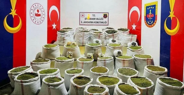 Diyarbakır'da PKK'nın finans kaynağına darbe! 350 bin kök kenevir, 3 bin kök skunk ele geçirildi