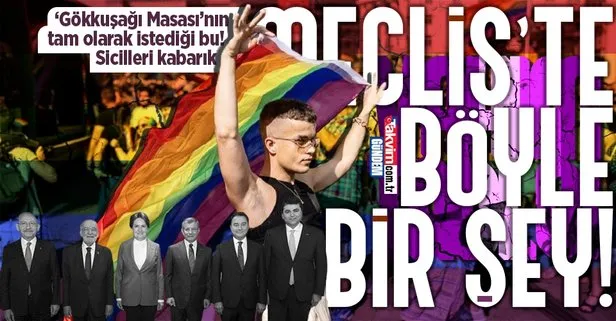 Başkan Erdoğan ‘Gökkuşağı Masası’ demişti! 7’li koalisyonun LGBT dosyası çok kabarık