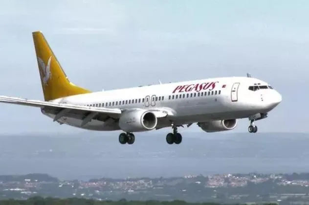Pegasus uçağı piste giren tavşana çarptı! İki uçak pisti pas geçti