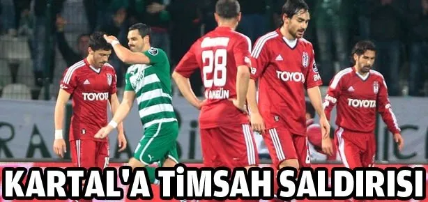 Kartal’a Timsah saldırısı