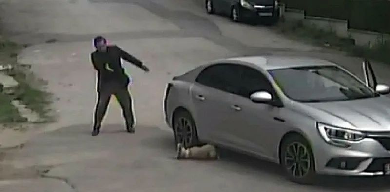 sakaryada-dehset-veren-olay-otomobiliyle-yolda-yatan-kopegin-uzerinden-gecti-1714767335669.jpeg Sakarya'da dehşet veren olay! Otomobiliyle yolda yatan köpeğin üzerinden geçti-4