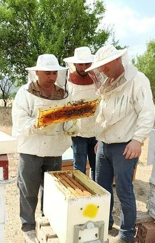 Başarılı girişim