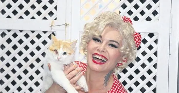 İyilik Melek’i! Mardinli Marilyn Monroe kendini sahipsiz kedilere adadı
