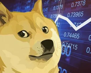 Dogecoin kaç TL? 9 Şubat 2021 Dogecoin fiyatı!