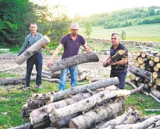 Çok ’ayı’p!