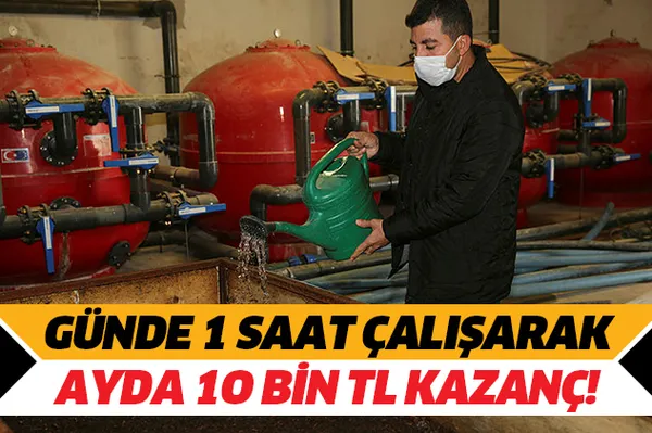 İşte hızlı ve kolay para kazanma! Günde 1 saat çalışarak ayda 10 bin TL kazanç!-1