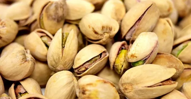 Antep fıstığı şifa saçıyor!