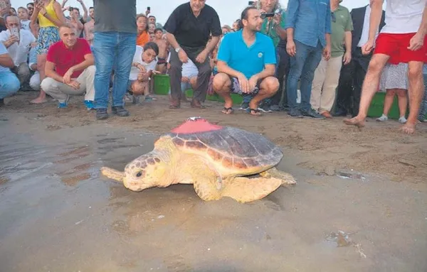 İstanbul'da korkunç olay! Motosiklet sürücüsü feci şekilde can verdi (Yaşam haberleri)-7