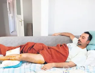 O pitbull artık barınakta