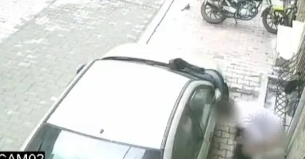 Sokak ortasına tuvaletini yaptı! İşte o anlar