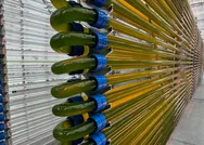 İlk Türk astronot Alper Gezeravcının uzaydaki deneyinden ilk sonuç geldi! Yosunlar karbondioksiti oksijene çevirebilecek