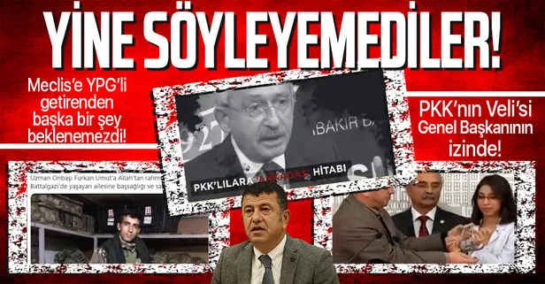 Meclis'e YPG'li terörist getiren CHP'li Veli Ağbaba ne şehit diyebildi ne de PKK!