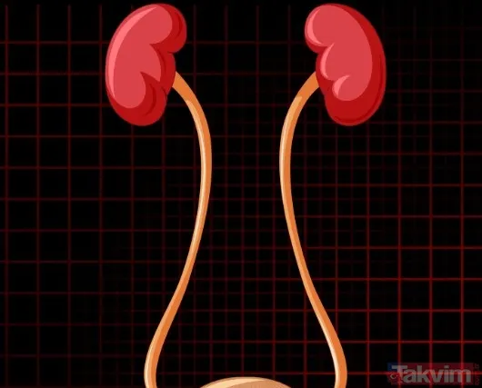 43 yaşındaki 3 çocuk babası Paul Souter'ın spor sakatlığı sandığı sırt ağrısı böbrek kanseri çıktı - 5