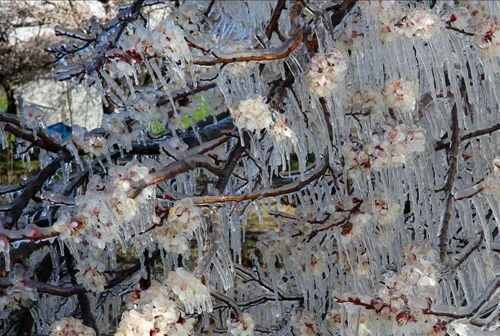 Manipülasyona fırsat verilmeyecek