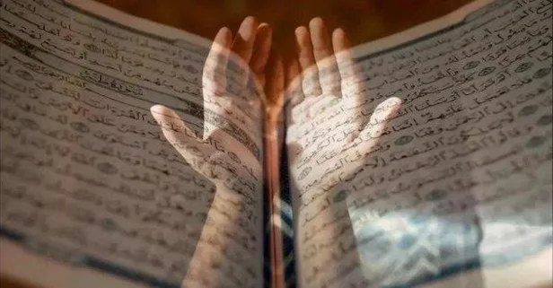 Prof. Dr. Nihat Hatipoğlu kaleme aldı: Zekât malı korur