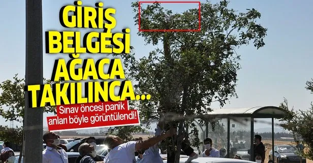 Gaziantep’te ilginç olay: Rüzgarın uçurduğu YKS giriş belgesi ağacın dalına takıldı