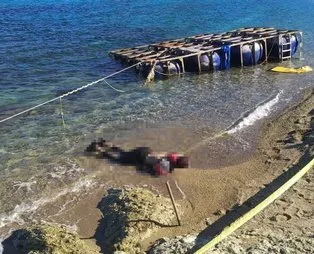 Akıllara Aylan bebek geldi! İzmir Foça sahiline göçmen cesedi vurdu