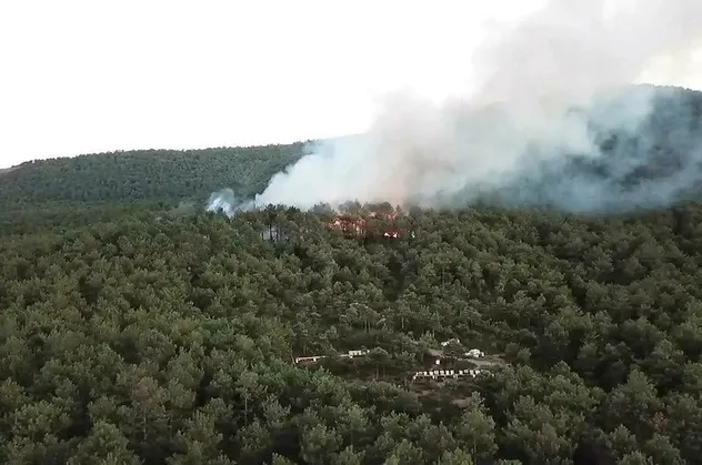 Kayışdağı'nda çıkan orman yangını kontrol altına alındı