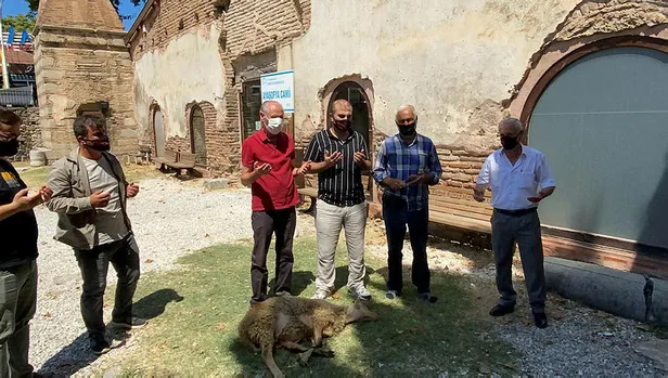 lokmalar-dokuldu-kurbanlar-kesildi-turkiyenin-dort-bir-yaninda-ayasofya-camii-coskusu-1595597836957.jpg Türkiye'nin dört bir yanında Ayasofya Camii coşkusu-5