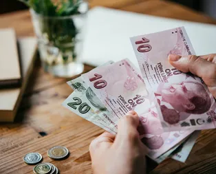 18 Ocak BES’te kategorilerine göre en fazla kazandıran fonlar hangileri oldu?