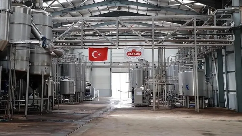 iskur-caykur-1072-isci-alimi-basvuru-nasil-yapilir-caykur-mevsimlik-isci-alimi-sartlari-neler-rize-artvin-trab-1714112327139.jpeg İŞKUR ÇAYKUR 1072 işçi alımı başvuru nasıl yapılır? ÇAYKUR mevsimlik işçi alımı şartları neler? Rize, Artvin, Trabzon, Giresun...-4