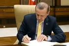 Başkan Erdoğan "Nevruz" kitabına takdim yazısı kaleme aldı: "Tek parti zihniyetini tarihin çöplüğüne gömdük'