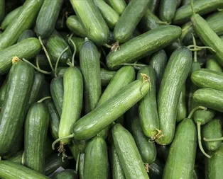 En çok artış salatalıkta