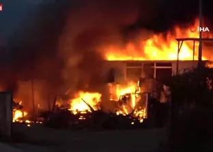 Samsun’da meyve deposu alevlere teslim oldu