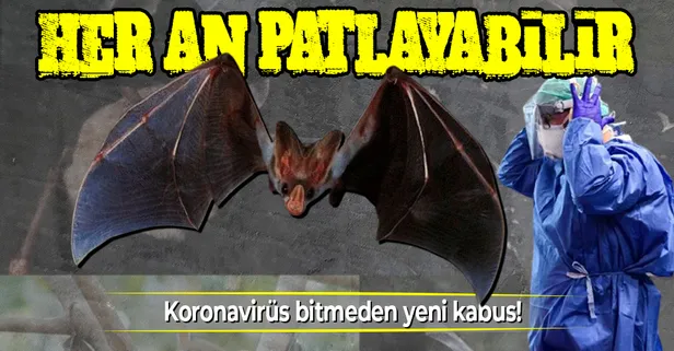 Bilim insanlarından korkutan uyarı: Her an patlayabilir! Dünyada Nipah alarmı! Nipah virüsü nedir? Nipah virüsünün belirtileri nelerdir?